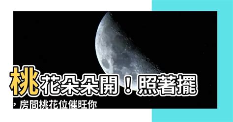 房間放什麼招桃花|脫單必看4招「桃花運全開」！房間桃花位擺1物 異性。